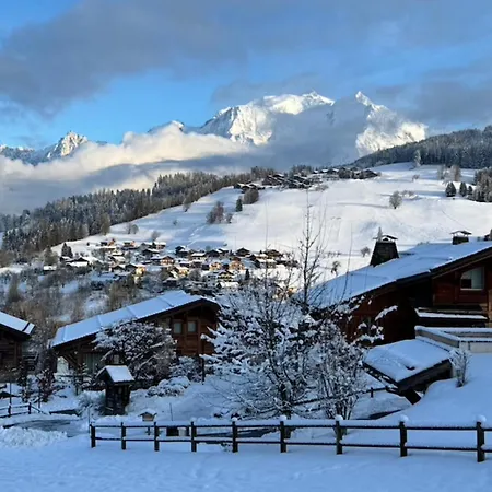 Appartement éclat Alpin